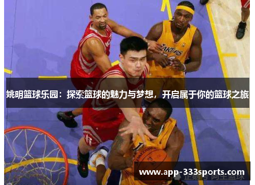 姚明篮球乐园：探索篮球的魅力与梦想，开启属于你的篮球之旅